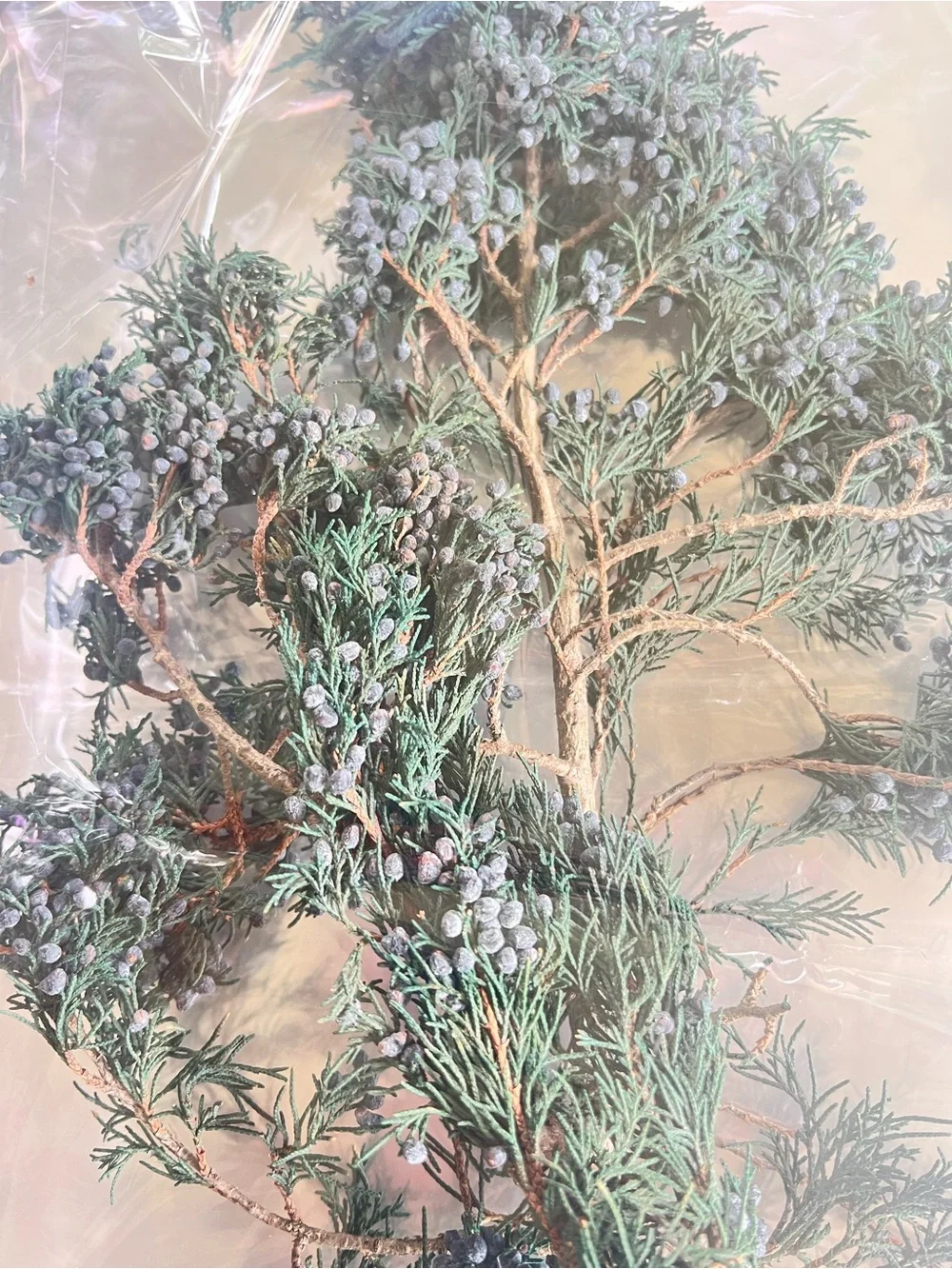 Dehydrated Juniper Berries for Home Decor